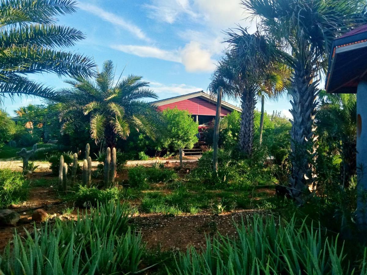 Red Palm Village Kralendijk  Exterior photo