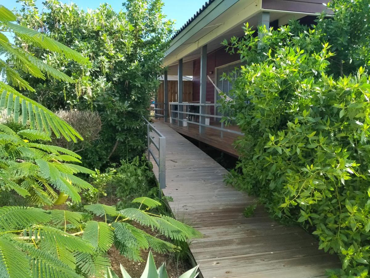 Red Palm Village Kralendijk  Exterior photo