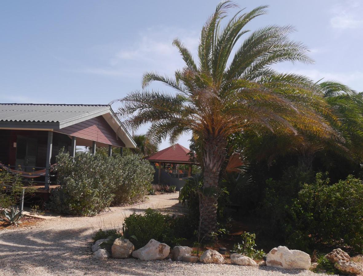 Red Palm Village Kralendijk  Exterior photo