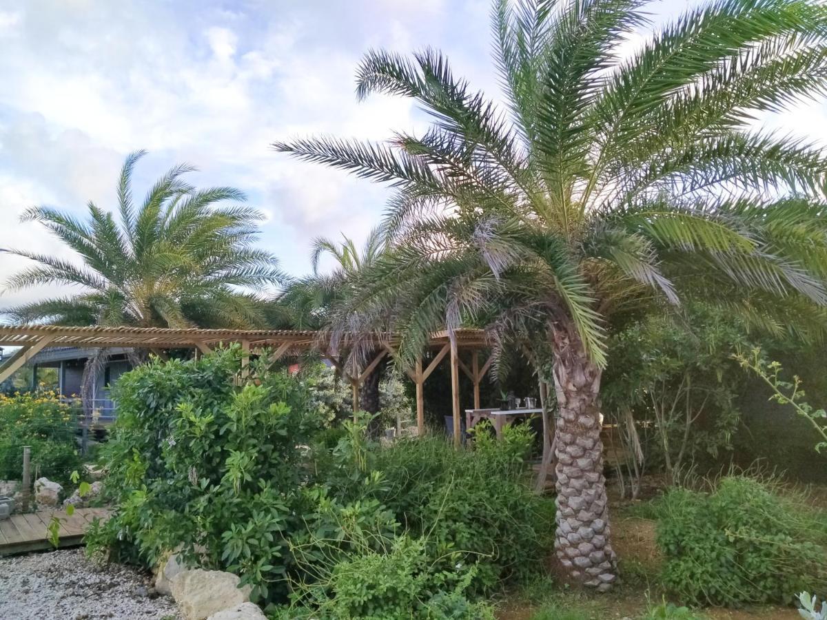 Red Palm Village Kralendijk  Exterior photo